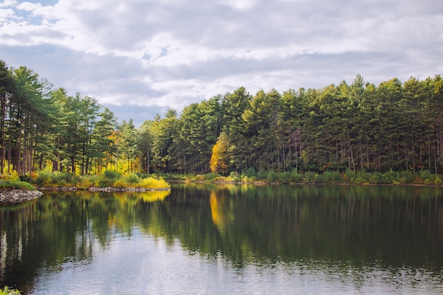 Beautiful Lake in a Forest with Trees Reflections in the Water and Cloudy Sky