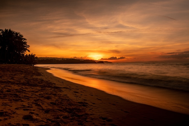 Magnificent Beach Scenery with Trees and Sea at Sunset