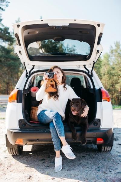 Big black dog in car – Free Stock Photo