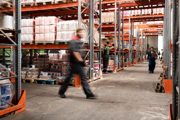 Different People Managing Warehouse Operations – Free Stock Photo Download