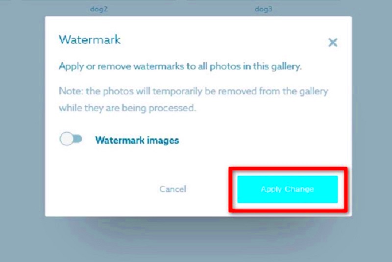 How to Remove Shootproof Watermark Completely In an Instant