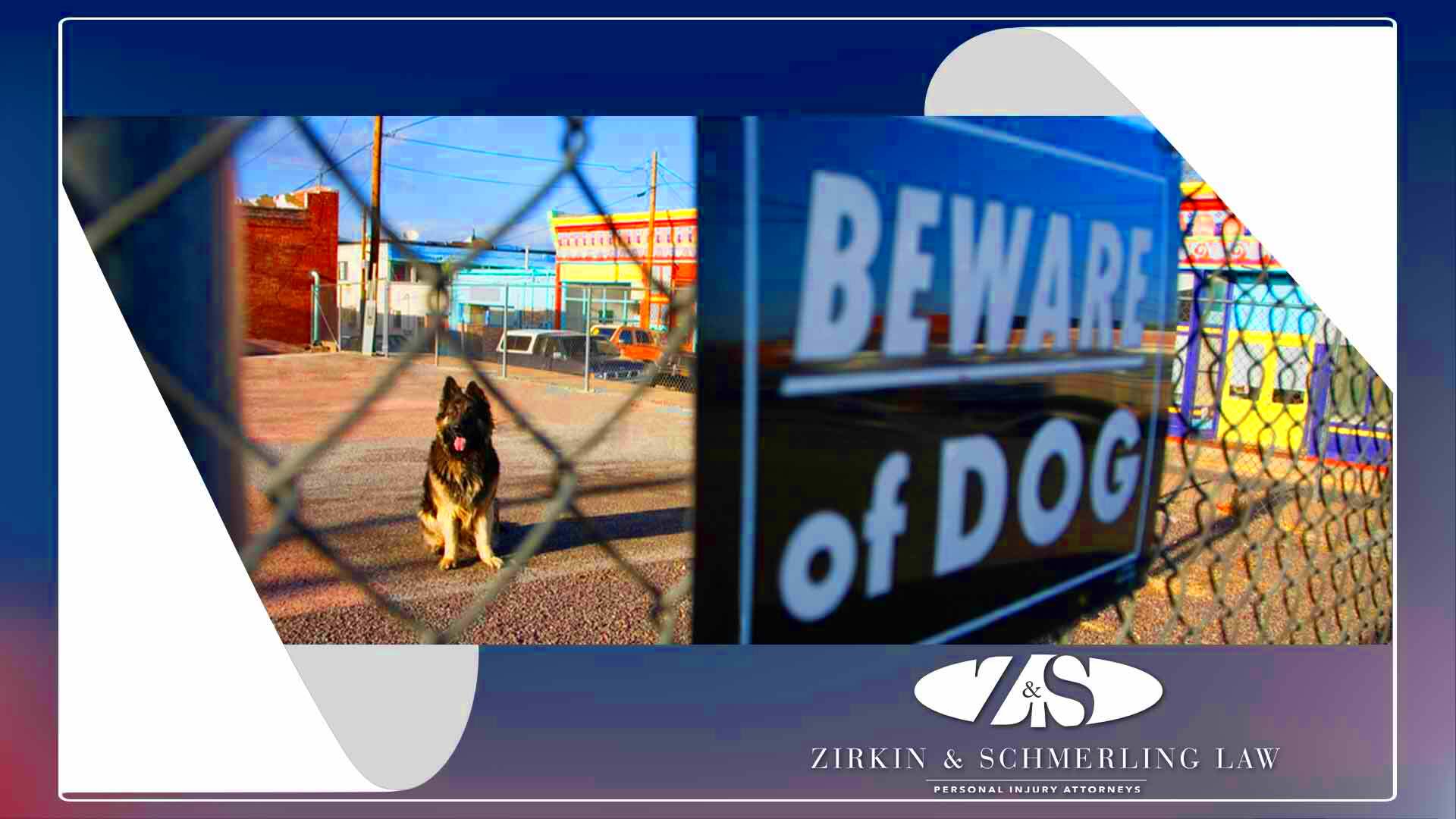 Maryland Dog Bite Laws Zirkin Schmerling Law