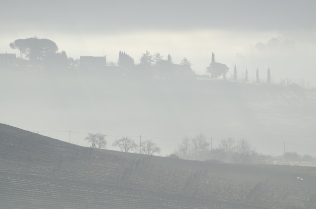 Beautiful view of the trees on the hill near the farms in misty weather