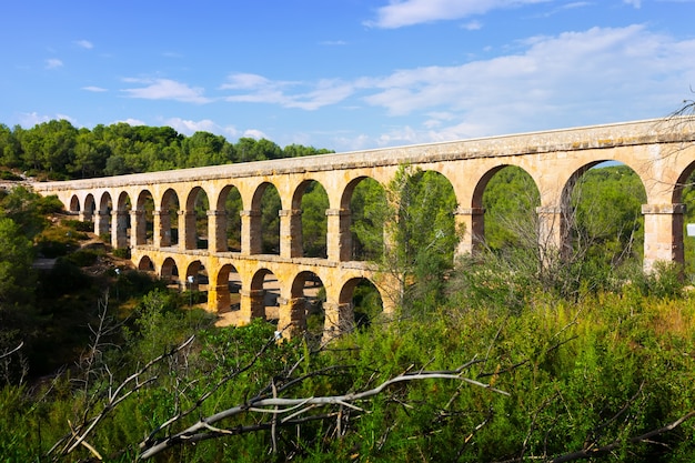 Ancient Roman Aqueduct in Summer Forest – Tarragona Free Stock Photo