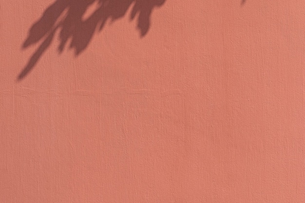 Shadow of Leaves on an Orange Wall – Free Stock Photo Download