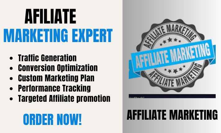 I will do affiliate marketing, affiliate promotion to get traffic and boost sales