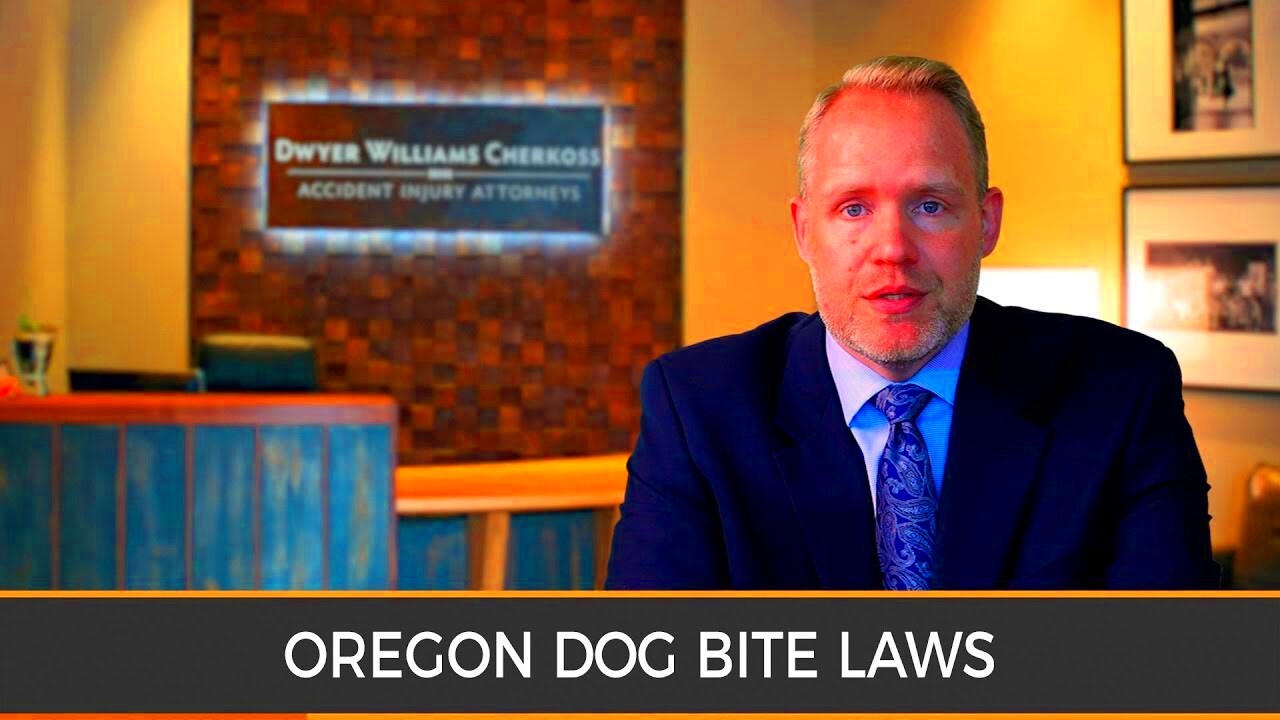 Oregon Dog Bite Laws Understanding the Different Levels of Dwyer 