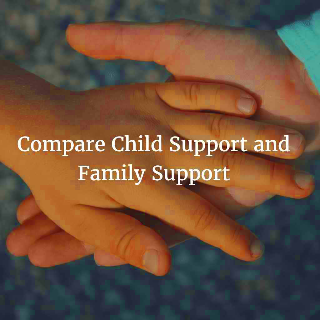 Understand And Compare The Differences Between Child Support And Family 