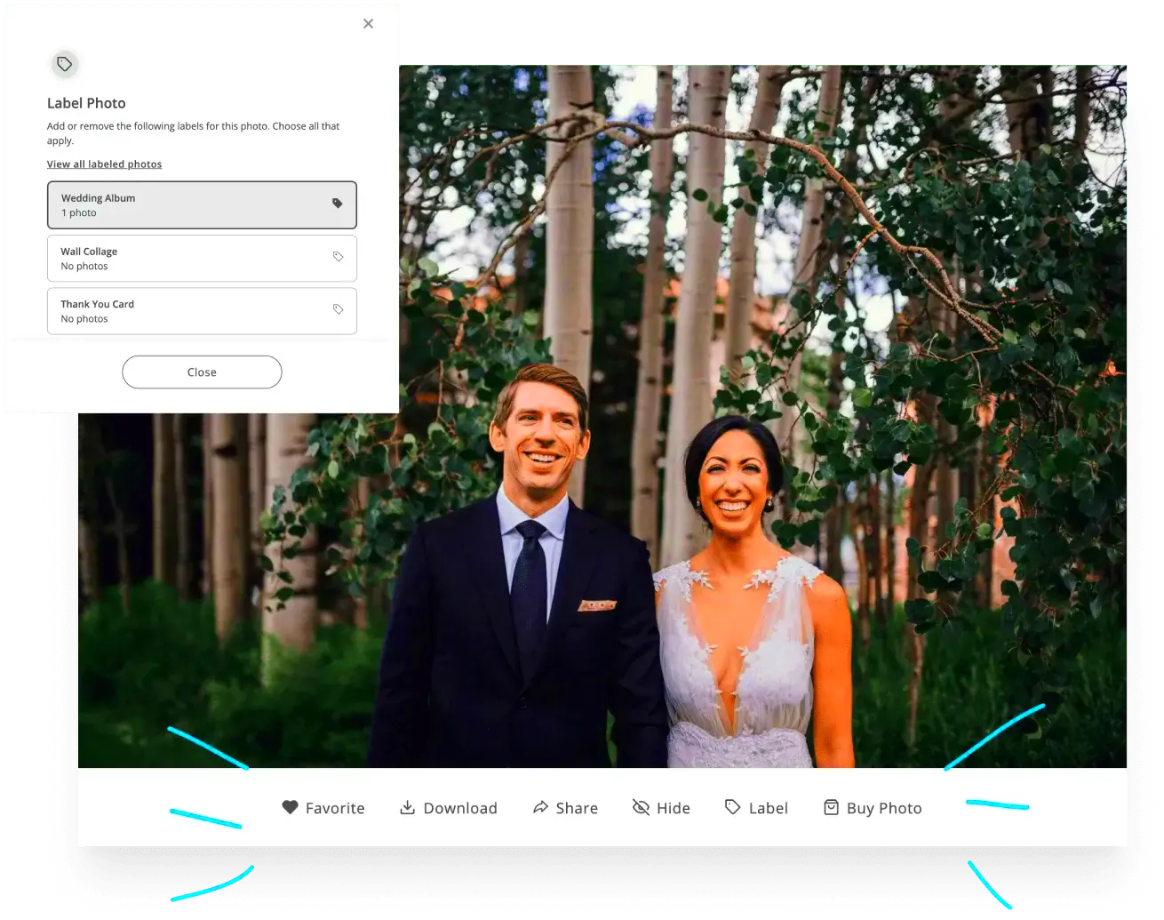 Stunning Online Galleries for Photographers ShootProof