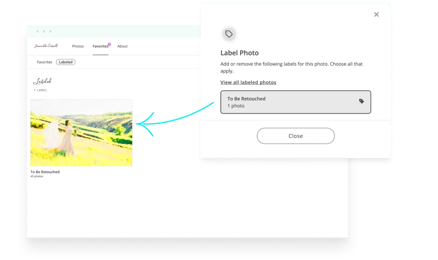 Client Online Photo Proofing ShootProof