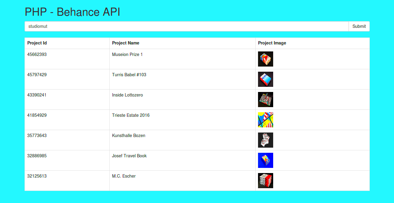 PHP Behance API Tutorial with Example ItSolutionStuffcom