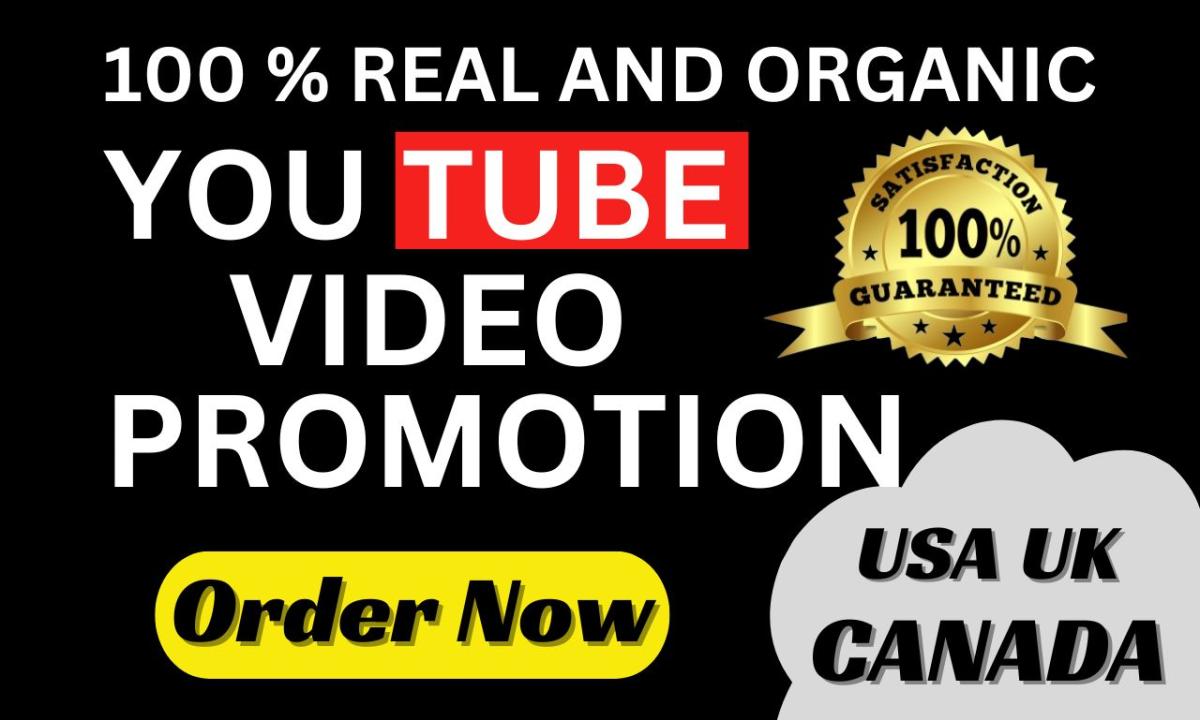 I will do organic youtube video promotion to 50 million people