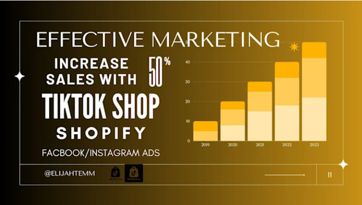 I will fix or set up integrate tiktok shop facebook shop ads shopify marketing manager