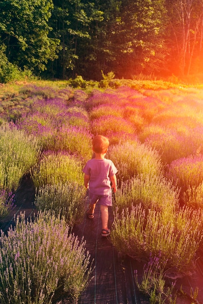 Full shot kid in lavender field