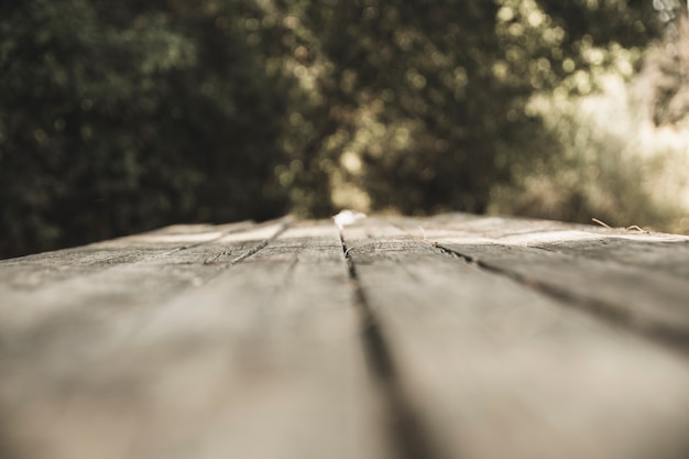 Wooden Board in Forest – Free Stock Photo for Download