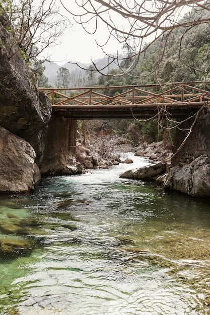 Panoramic View of Nature – Free Stock Photo Download