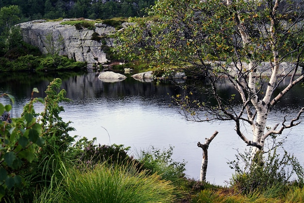 Lake with Reflection of Trees Surrounded by Rock Formations in Preikestolen, Norway