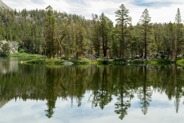 Trees of the forest reflected in the Big Pine Lakes, California, USA