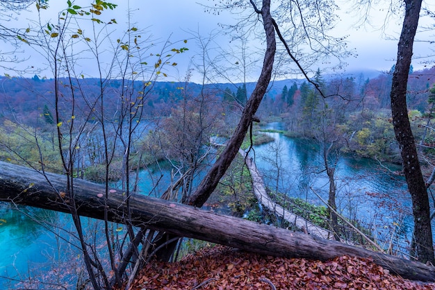 High Angle Shot of Wooden Pathway in Plitvice Lakes National Park Croatia