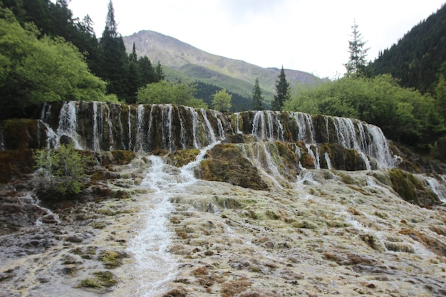 Natural Landscape Free Stock Photo Download