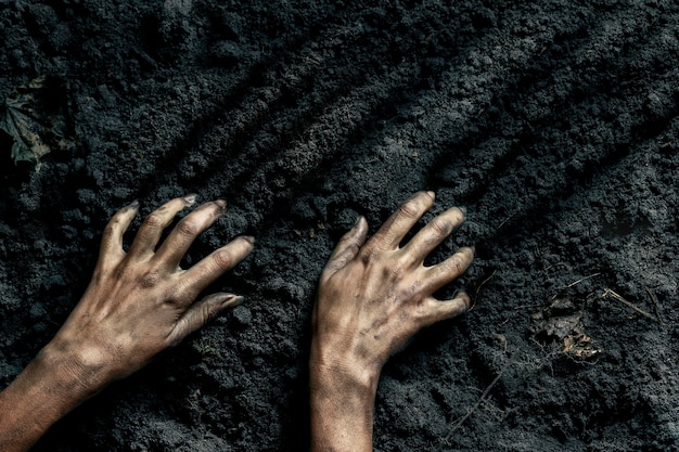 Scary Zombie Hands on the Ground – Free Stock Photo