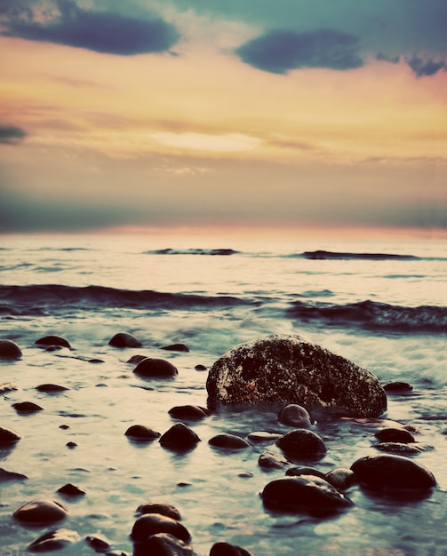 Rocks in the Sand – Free Stock Photo Download