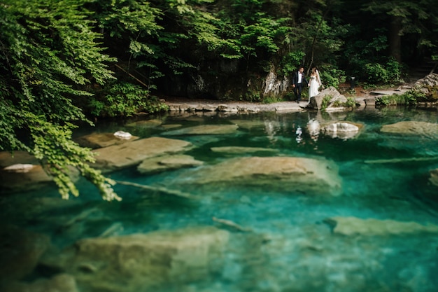 Bride and Groom Walking Before the Rocks – Download Free Stock Photo