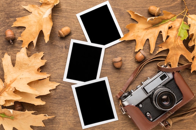 Top View of Autumn Leaves with Photos and Camera