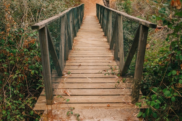 Bridge in Nature – Free Stock Photo for Download