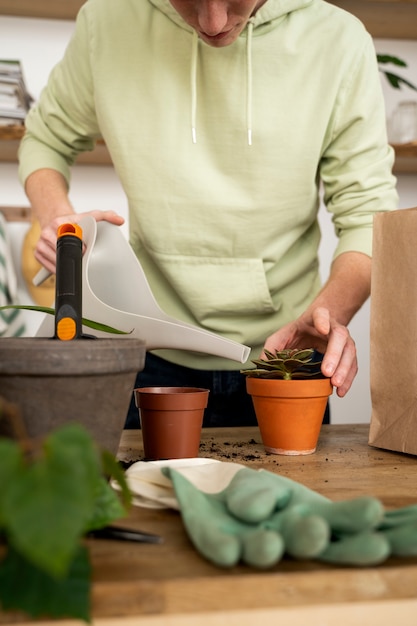 Person transplanting plants in new pots