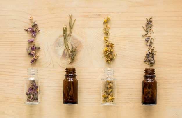 Flat Lay of Natural Medicinal Herbs in Bottles – Free Download