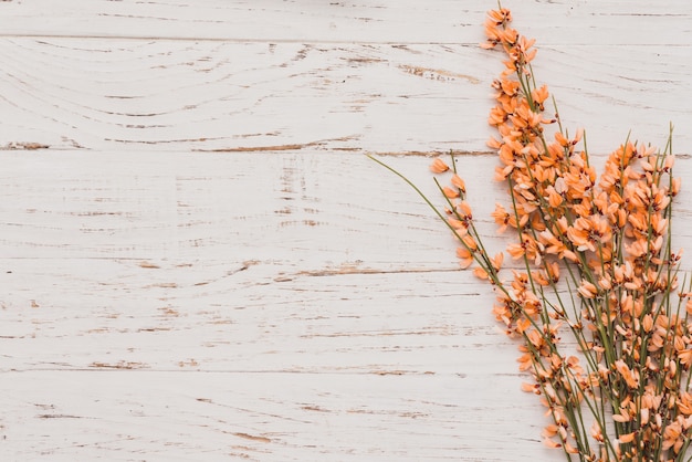 White Wooden Board with Floral Decoration