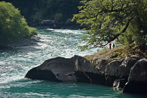 Mesmerizing view of the couple near the river surrounded by trees