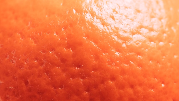 Macro Orange Texture