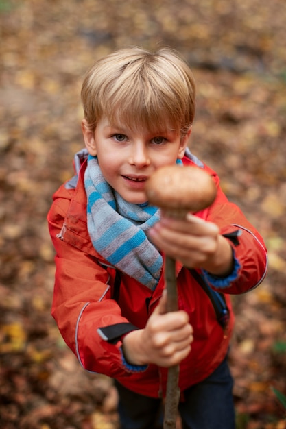 People collecting food from the forest – Free Stock Photo Download