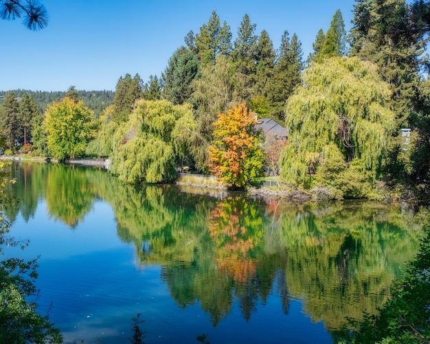 Clear Lake with Reflection of Clouds Surrounded by Forest