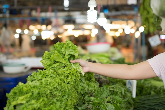 Woman shopping organic vegetables – Free Download Stock Photo