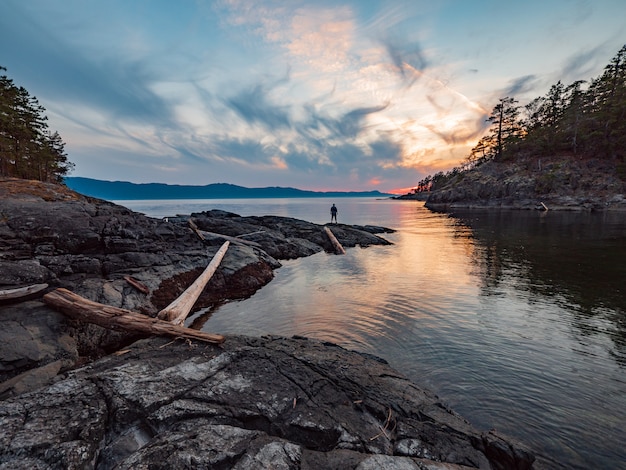 Brown Tree Log on Lake Under Blue Sky and White Clouds – Free Stock Photo Download