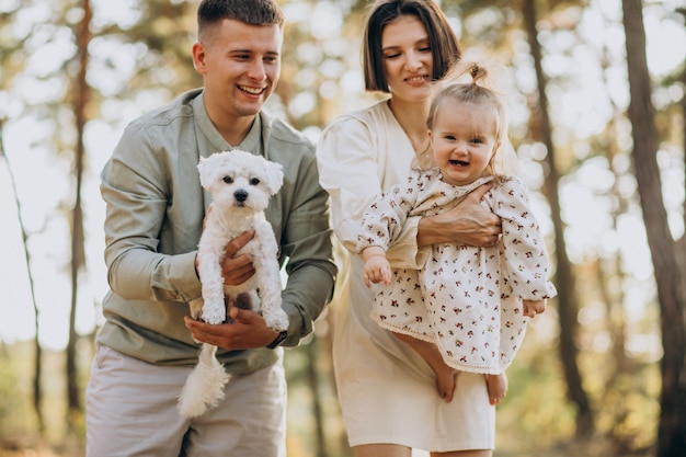 Young family with cute little daughter walking in forest on the sunset