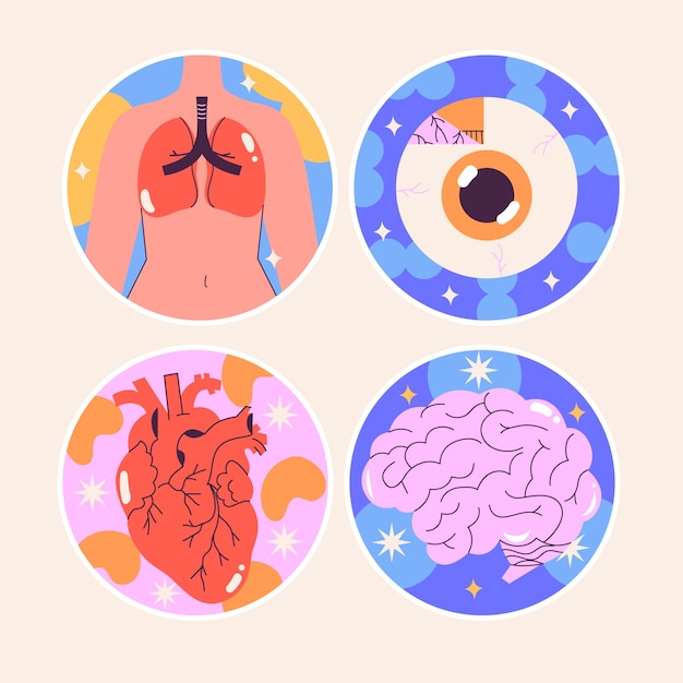 Naive Human Body Stickers Collection