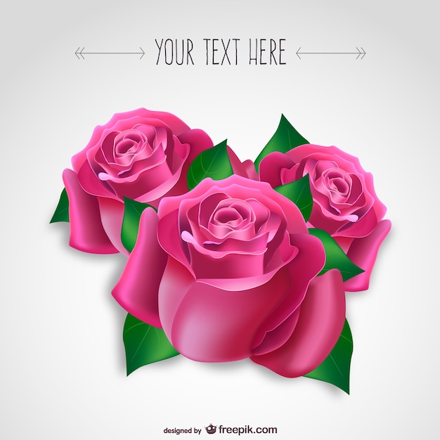 Passionate Pink Roses Vector Templates Available for Free Download