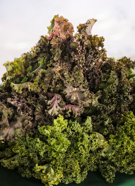 Display of fresh ripe organic kale at farmer’s market