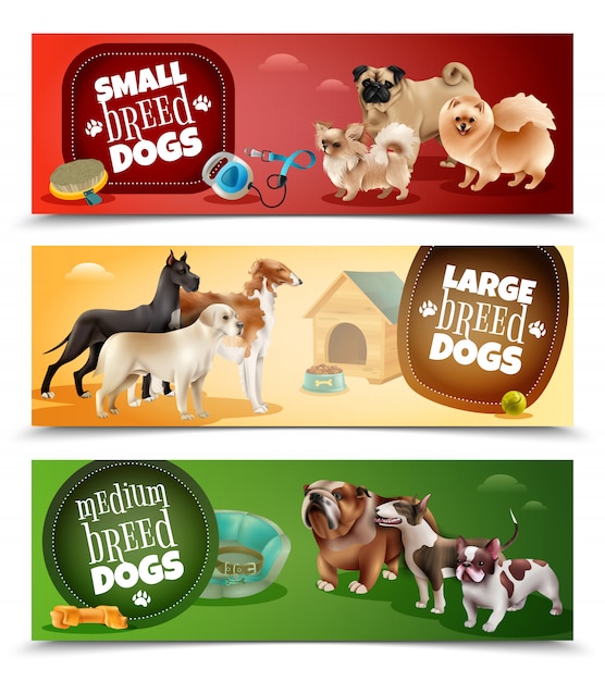 Dog Breeds Banner Set – Free Stock Photos for Download