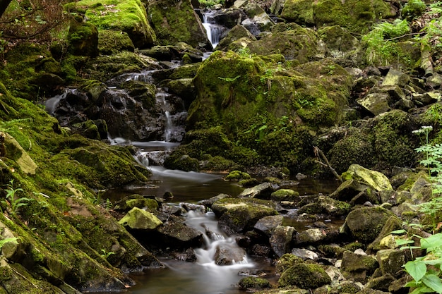 Wide Angle Shot of a Waterfall in the Woods Surrounded by Grass and Rocks