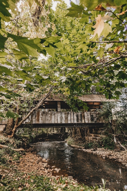 Vertical shot of a river flowing under a covered bridge with green foliage visible