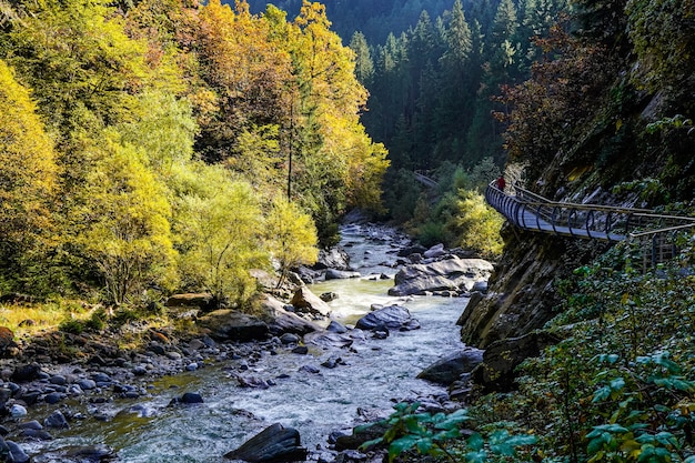 Person Walking on Metal Pathway Above River in Forest