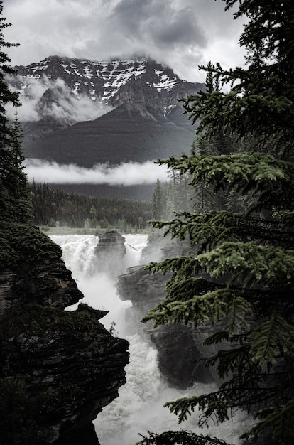 Powerful Waterfall Surrounded by Rocky Cliffs and Trees in Canada