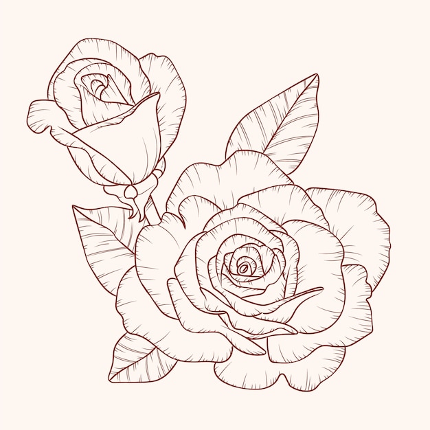 Simple Flower Outline Illustration