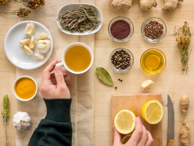 Flat Lay of Natural Medicinal Herbs – Free Stock Photo for Download