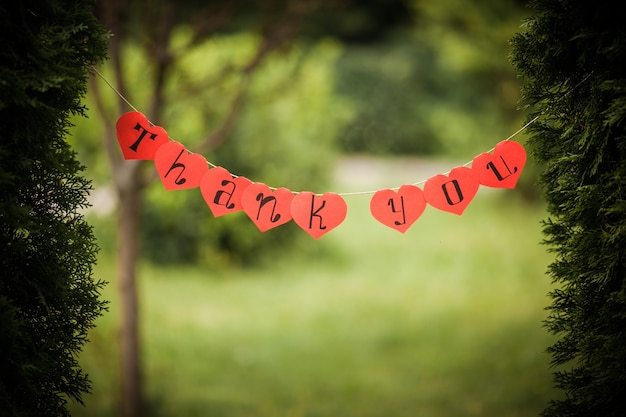 Sign that say “thank you” Free to Download